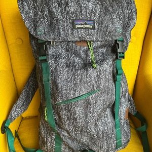 Grey+white PATAGONIA backpack w/ green straps